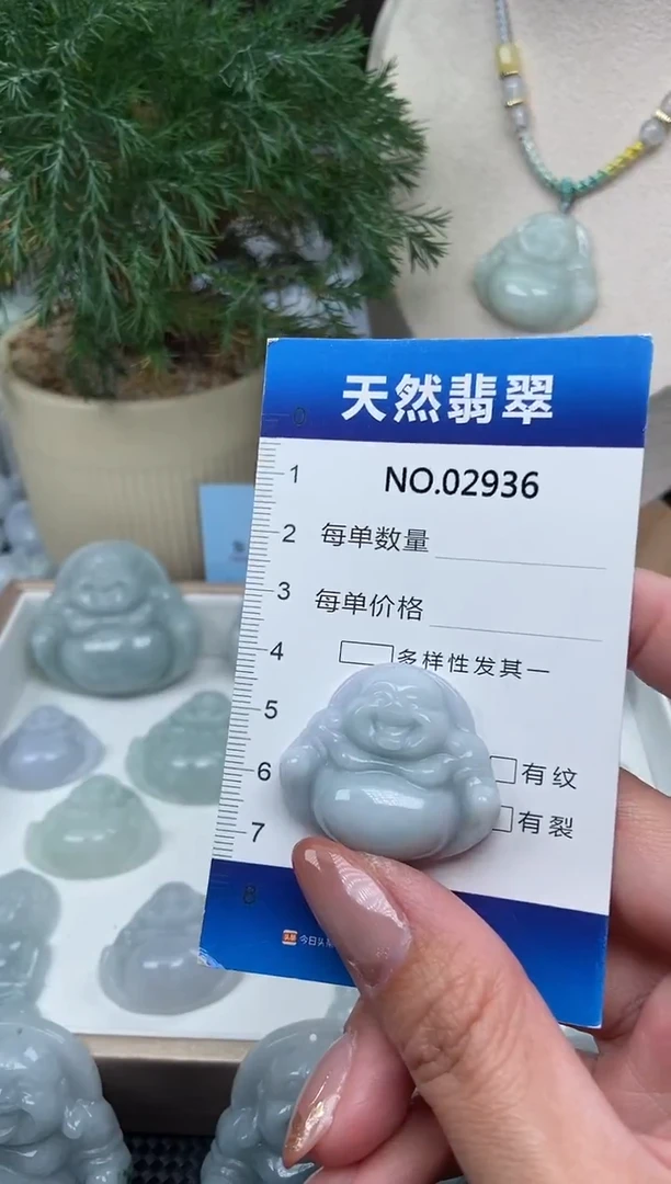 颈饰未镶嵌翡翠纯天然A货翡翠2936