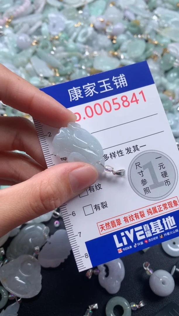 颈饰未镶嵌翡翠5841