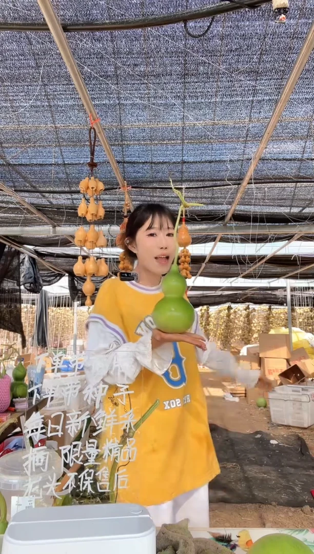554天然葫芦摆件 一物一拍龙头不保售后
