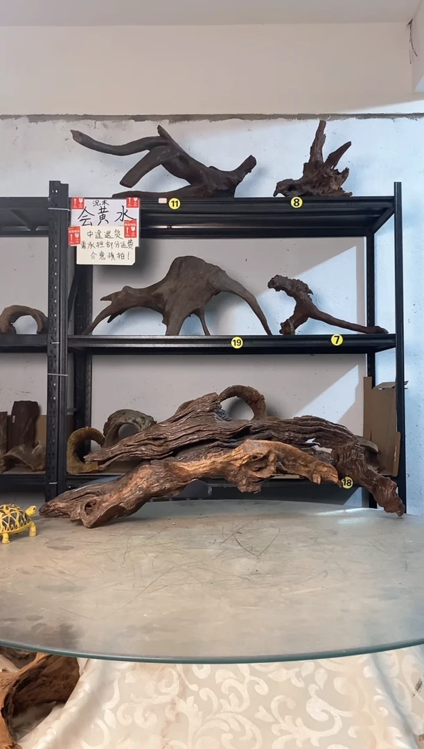 ?*哥鱼缸爬宠造景素材673