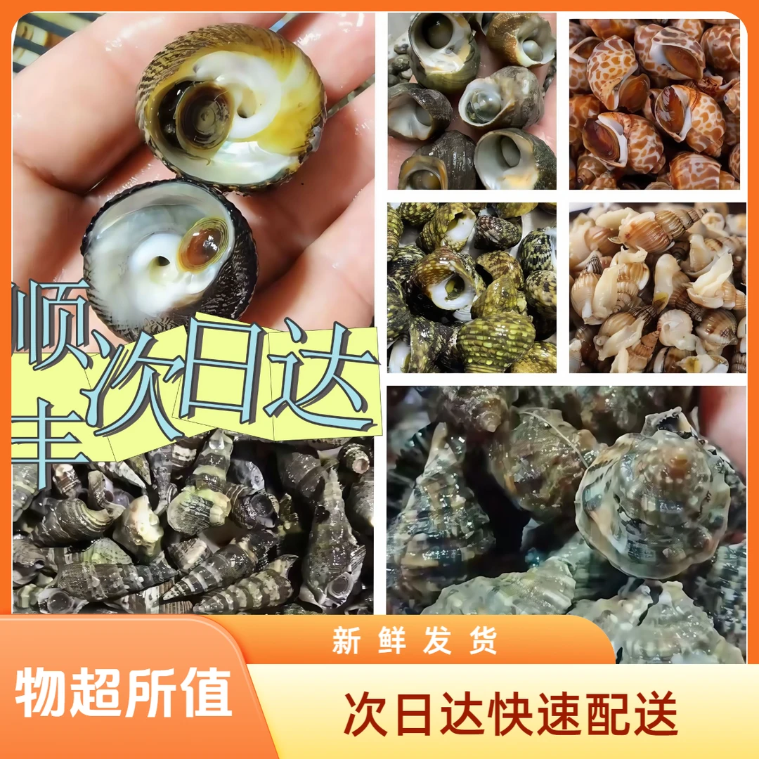 【次日达/净重4斤】野生手捡辣螺螺海螺海鲜芝麻螺小香螺