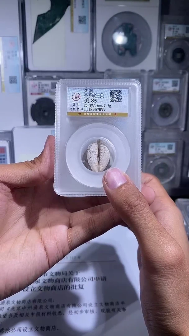 铜琪珍  软玉贝一枚