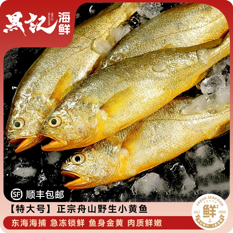 黑记【特大号】正宗舟山野生黄鱼黄花鱼深海捕捞新鲜4-5条/包