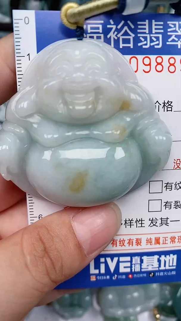翡翠未镶嵌颈饰...0009889
