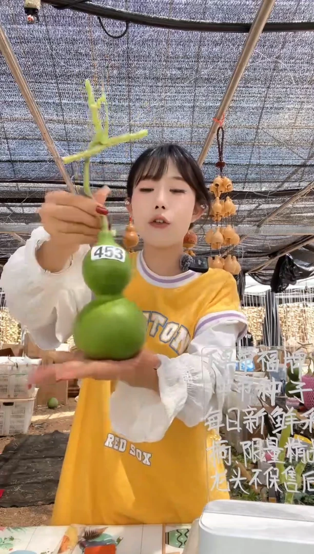 453天然葫芦摆件 一物一拍龙头不保售后