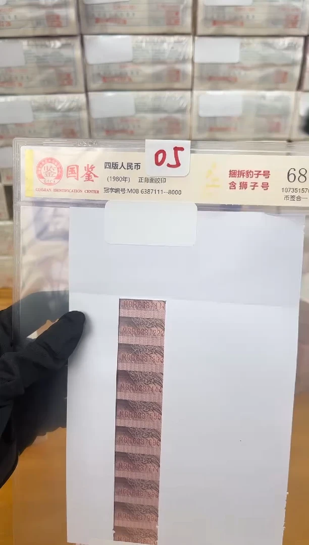 点五捆拆豹子号