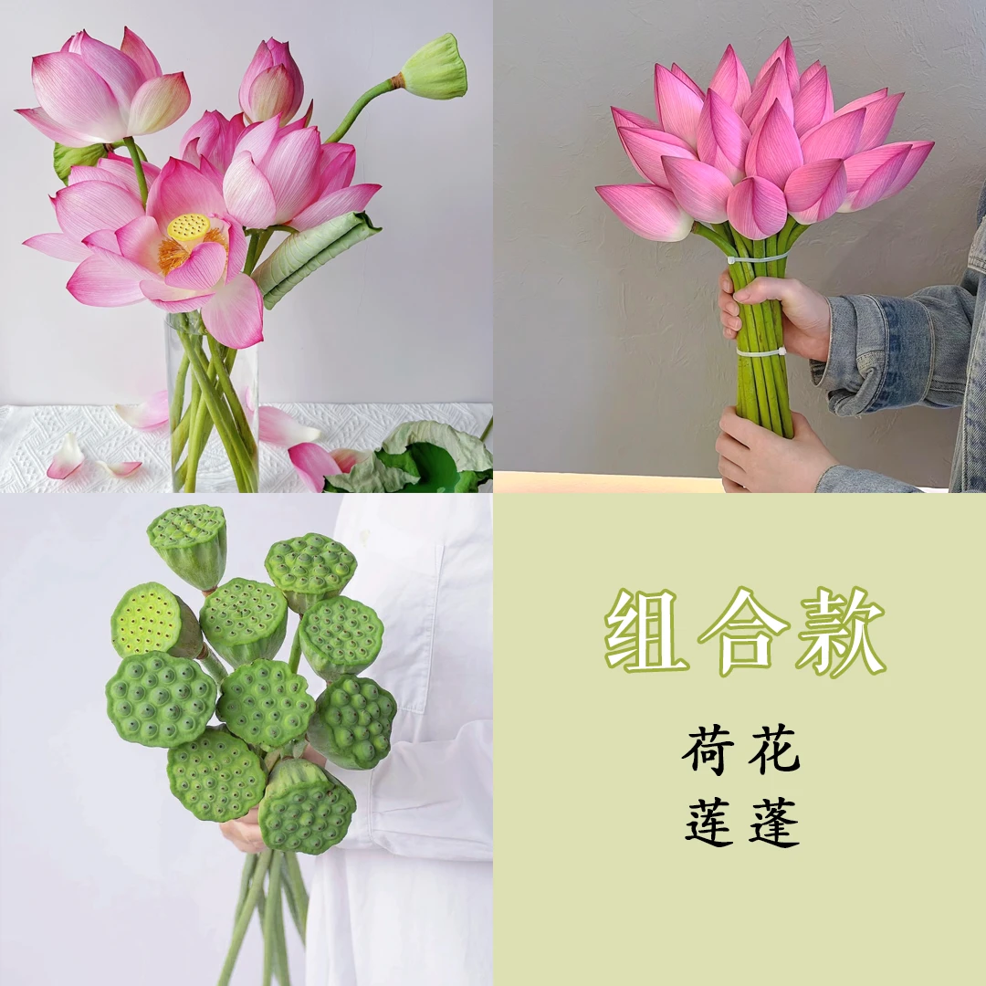 特价 好运莲莲『荷花5枝+莲蓬5枝』全场任意2单鲜花顺丰京东包邮 三单鲜花送玻璃花瓶 荷花次日达荷花同城配送