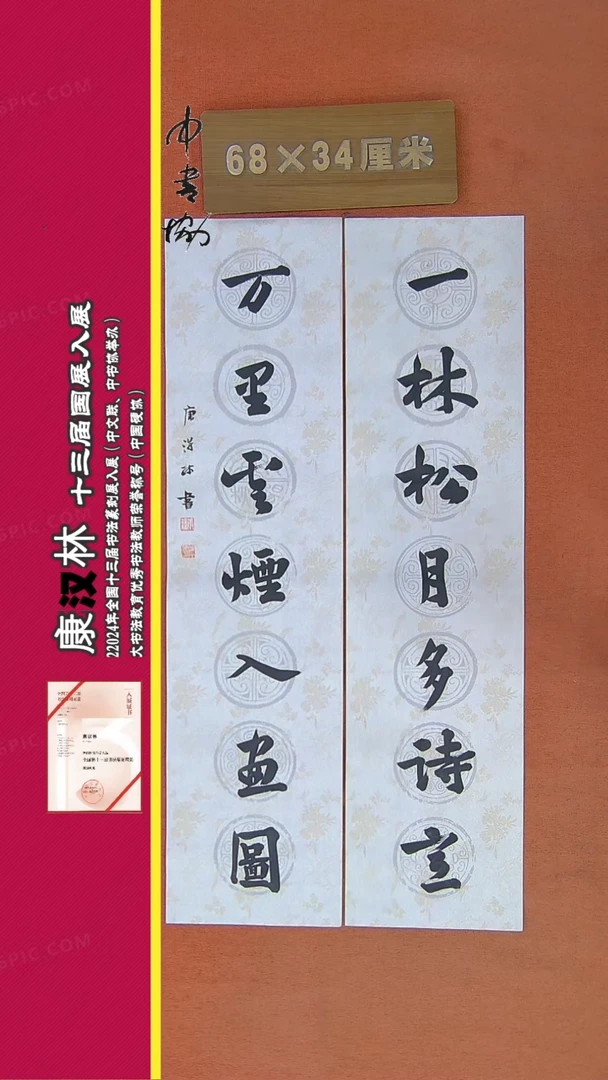 【闪购商品】书法27康汉林书法作品