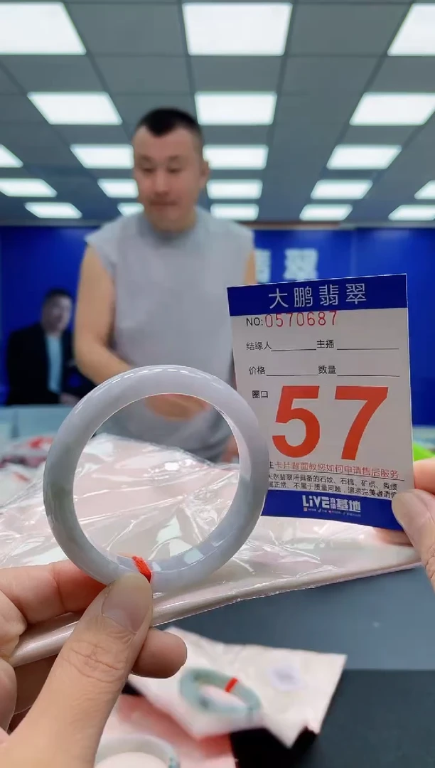 未镶嵌手镯翡翠AAAAAAAAA