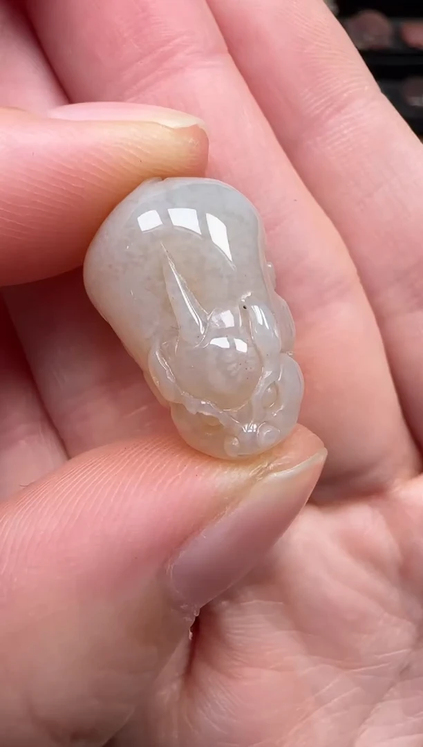 颈饰未镶嵌硅化珊瑚（珊瑚玉）078