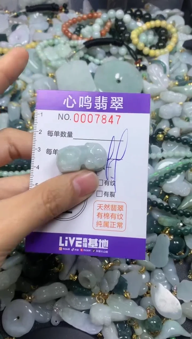 【闪购商品】翡翠颈饰未镶嵌闪购007847