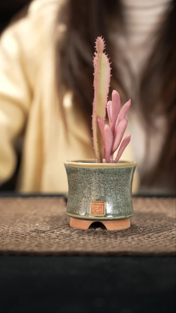 12-11-028花盆口径6特