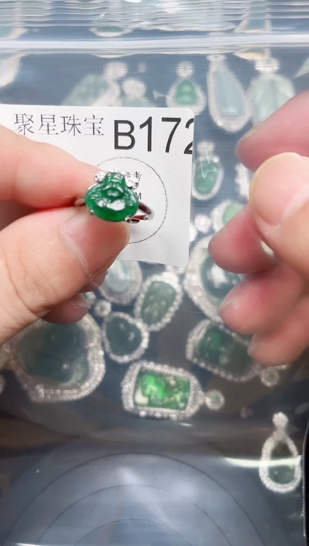 【闪购商品】翡翠颈饰未镶嵌 赠皮绳172