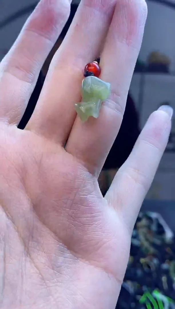 颈饰未镶嵌和田玉多样性发拍一发一