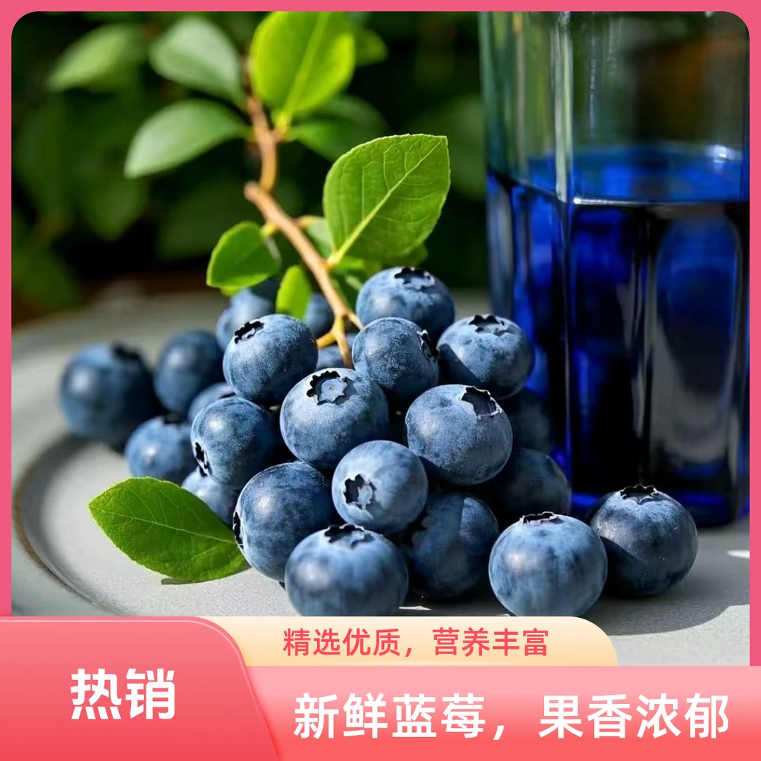 蓝莓新号招商销量详见店铺专属丹东蓝莓现采现摘京东顺丰坏果包赔