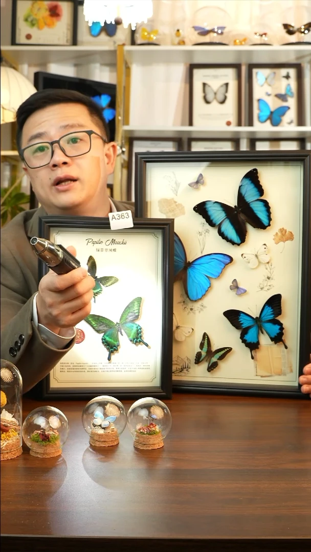 绿带翠凤蝶春+夏款双蝶（A4黑框）A363