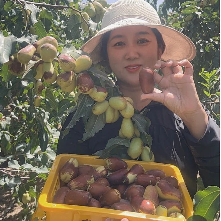 新疆和田大枣鲜枣子（适合蒸煮）5斤装航空发货产地直发包邮