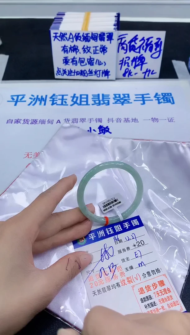 未镶嵌手镯翡翠11111