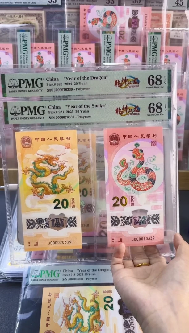 塑料乾坤双龙 J000070339 全68分