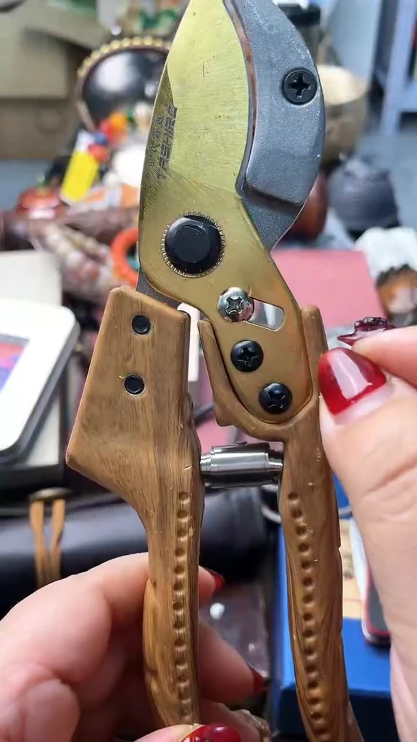 【闪购商品】瓷片JZ炎美杂货铺质量保证