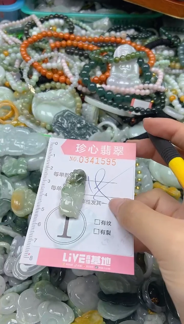 颈饰未镶嵌翡翠闪购0341595