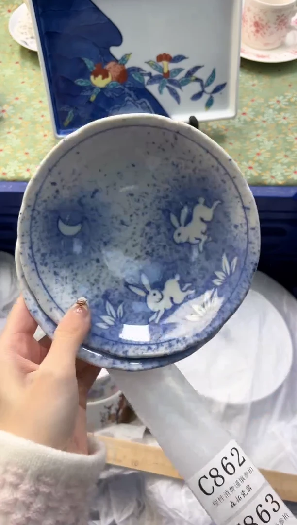 【闪购商品】瓷片          C861