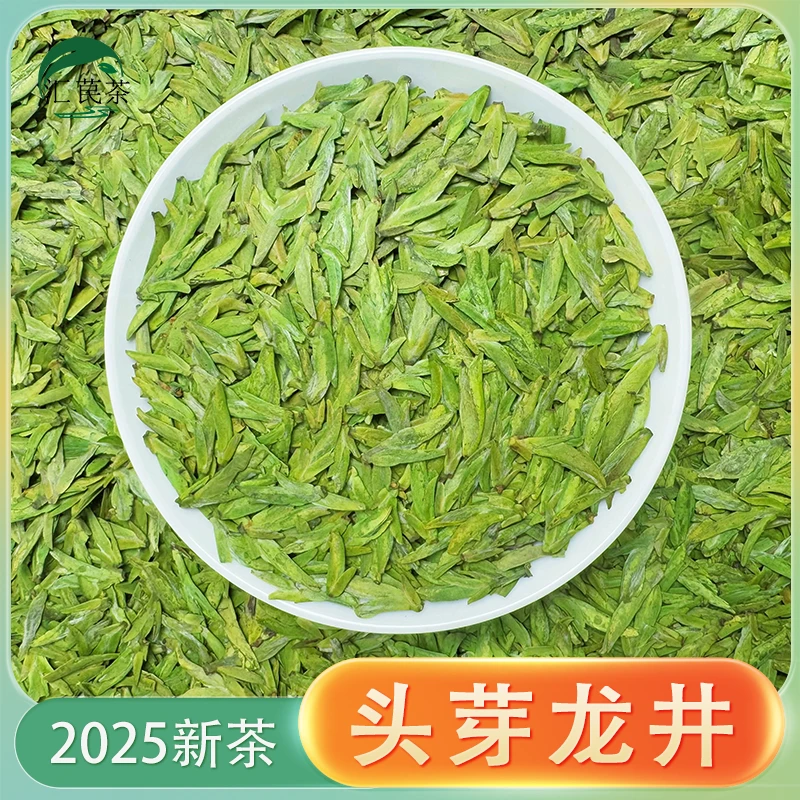 2025新茶 头采108云芽龙井 春茶罐装支持试喝鲜爽回甘  A