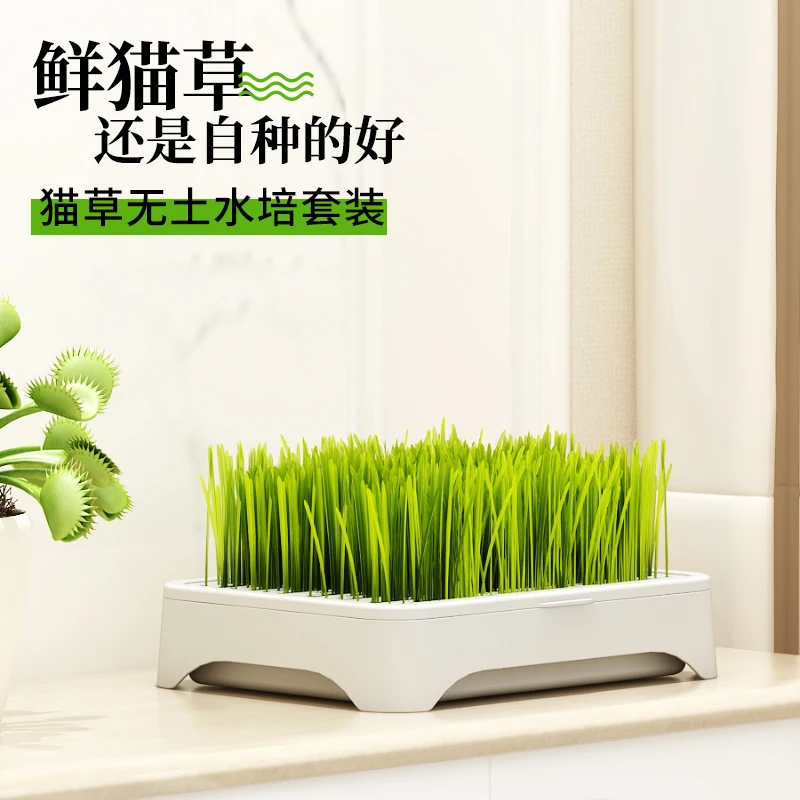 猫零食无土猫草水培套装水培盒猫薄荷去毛球懒人猫草自种排毛化毛