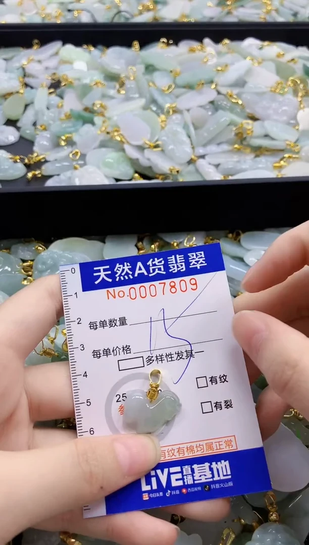 颈饰未镶嵌翡翠纯天然a货翡翠
