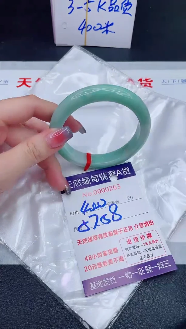 未镶嵌手镯翡翠400.00