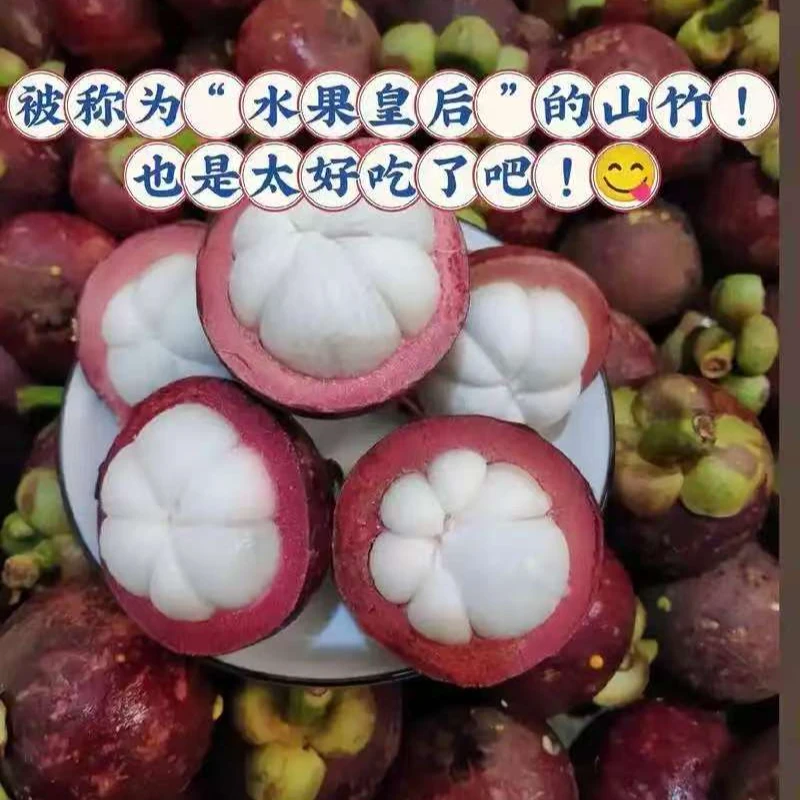 【丁果鲜生】泰国老树麻竹净重3斤