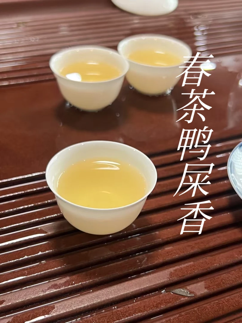 凤凰单丛鸭屎香潮州高山单枞茶叶浓香型新茶乌龙茶散装批发送礼