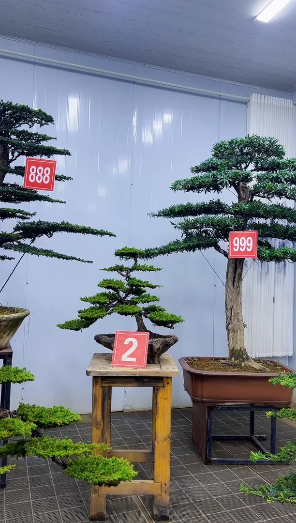 鲁**深一物一拍，所拍即所得，所见即所得