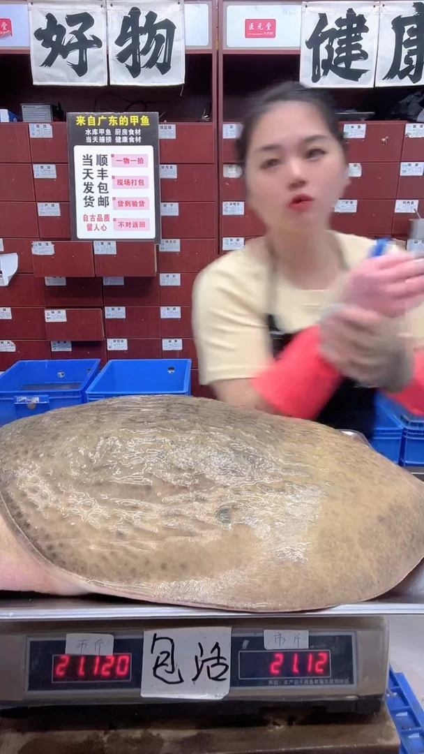 中国大陆谦***田21斤一只