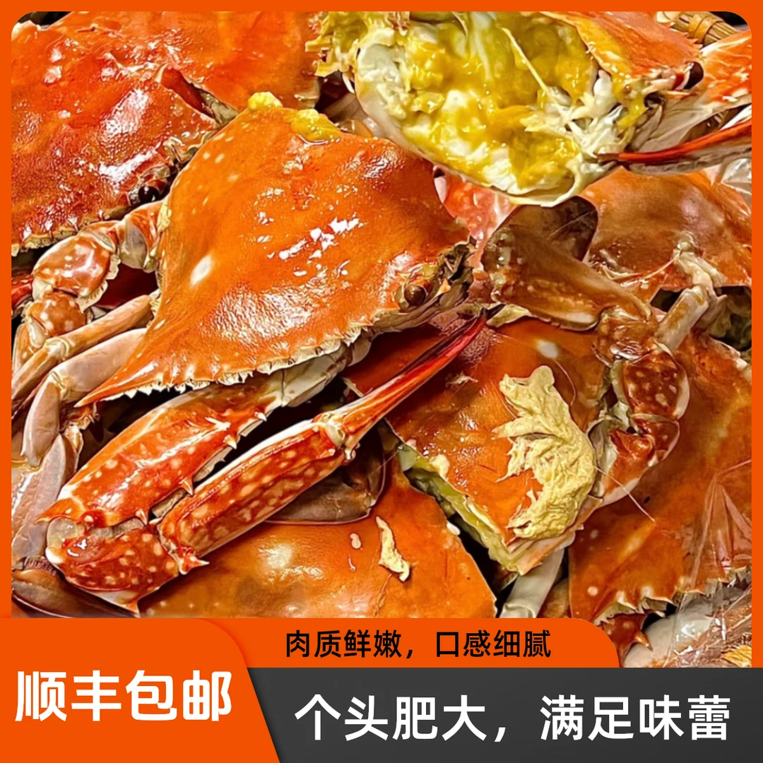 【母蟹】舟山活冻梭子蟹 海鲜 1只约4-6两 一箱8只 总重约4斤【冻蟹】
