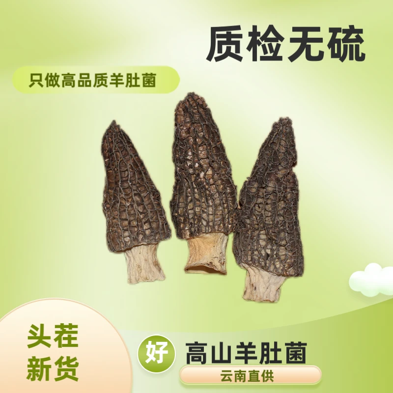 儿童高山羊肚菌干货肉质肥厚营养丰富农家煲汤佳品