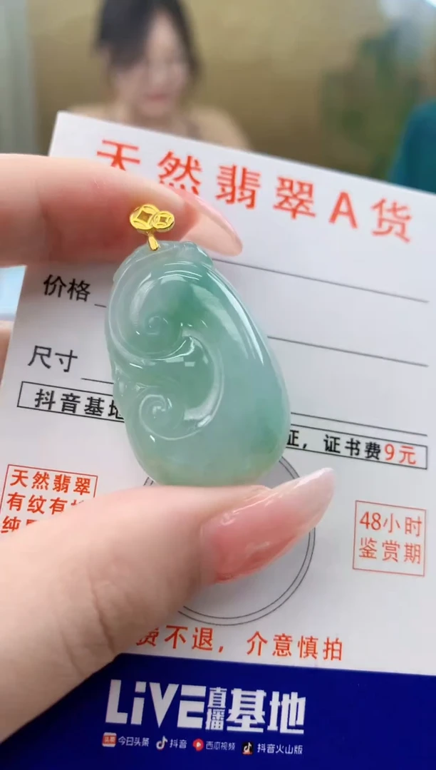 颈饰未镶嵌翡翠天然A货翡翠挂件