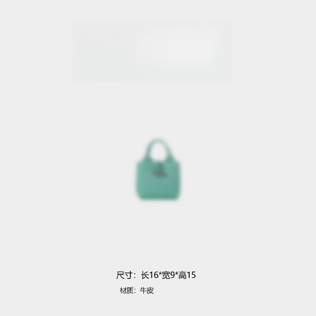 《李老板专属》【甄选】轻奢时尚小众通勤简约手提单肩包BV9074-绿色