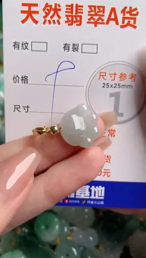 翡翠未镶嵌颈饰24000065