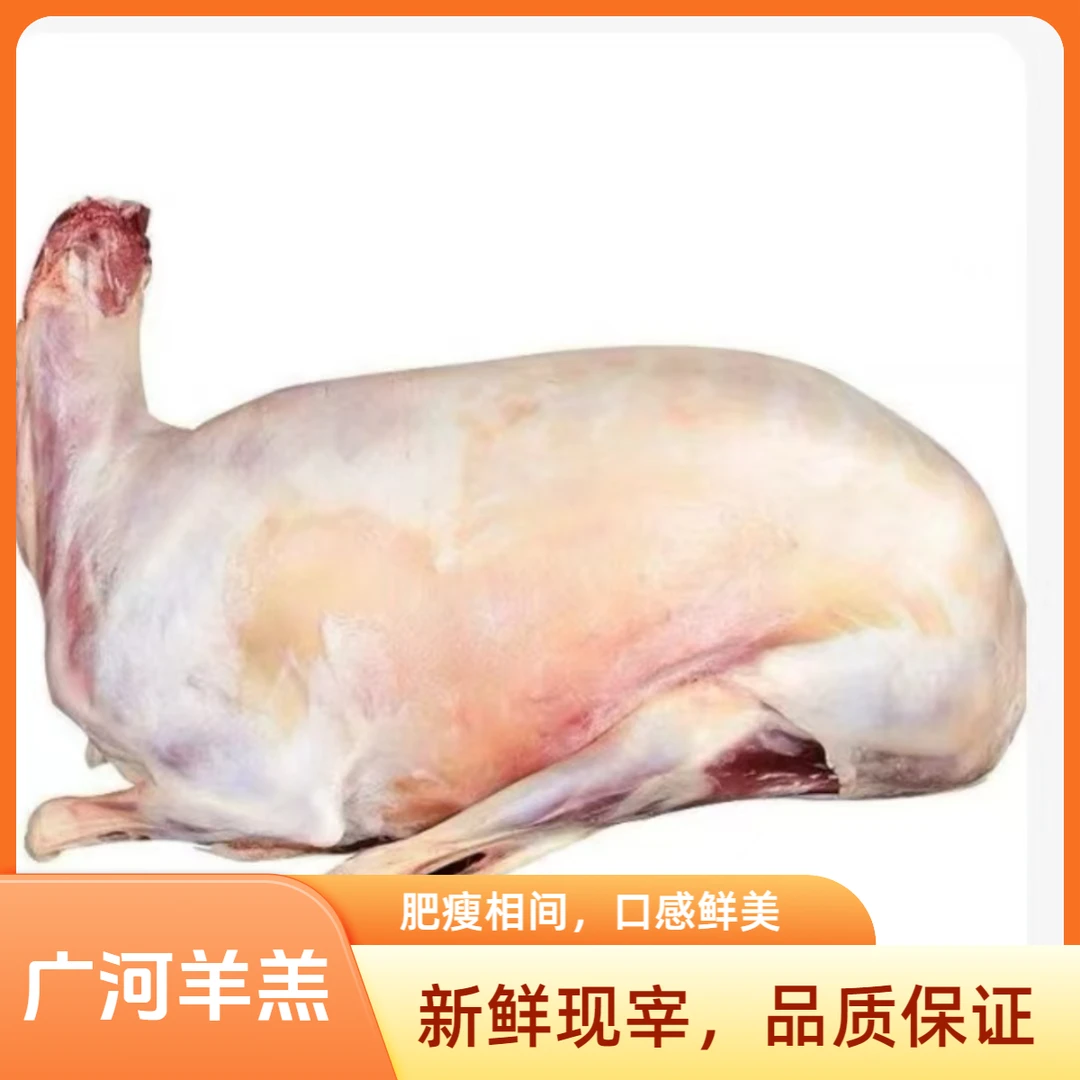 【顺丰包邮】甘肃广河羊羔肉 清真优质羊肉 新鲜营养优质