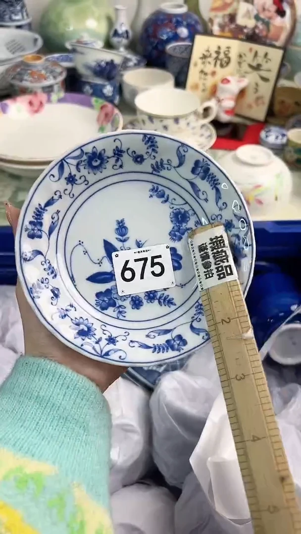 【闪购商品】瓷片675............