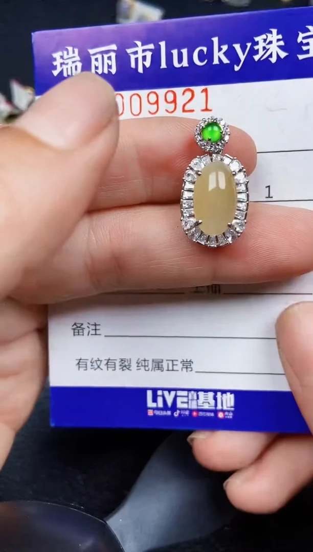 翡翠银S925镶嵌颈饰9921