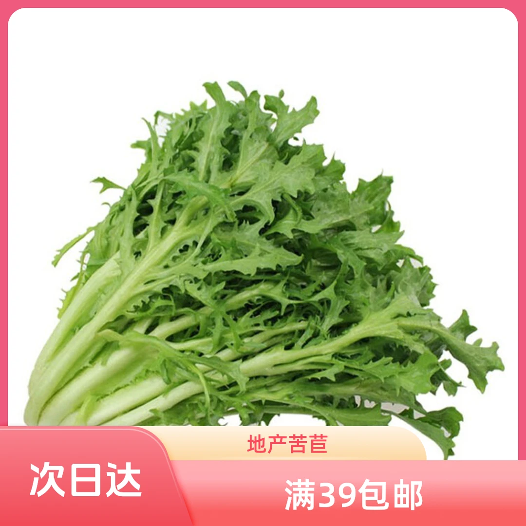 地产苦苣350g±50/份绿色蔬菜