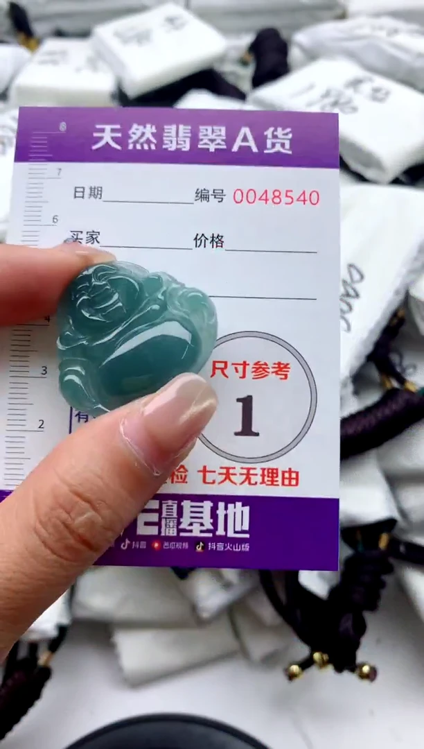 翡翠未镶嵌颈饰9999999999