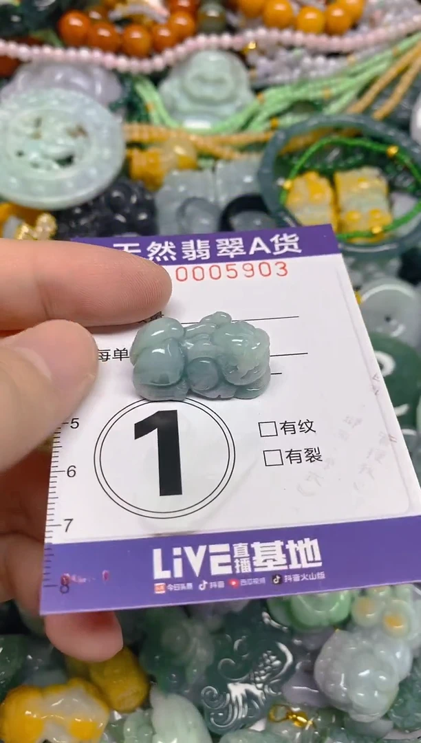 颈饰未镶嵌翡翠0005903