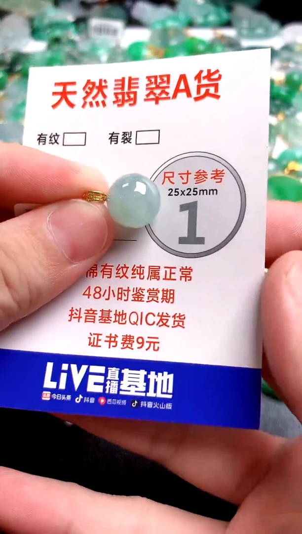 翡翠18K金镶嵌颈饰0667425215