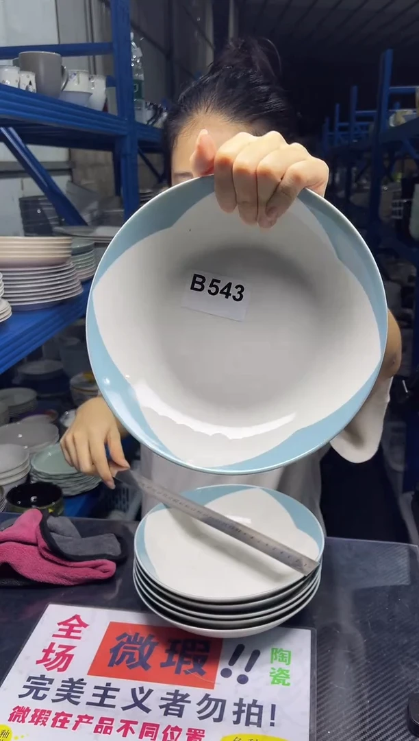 盘B543 6只装