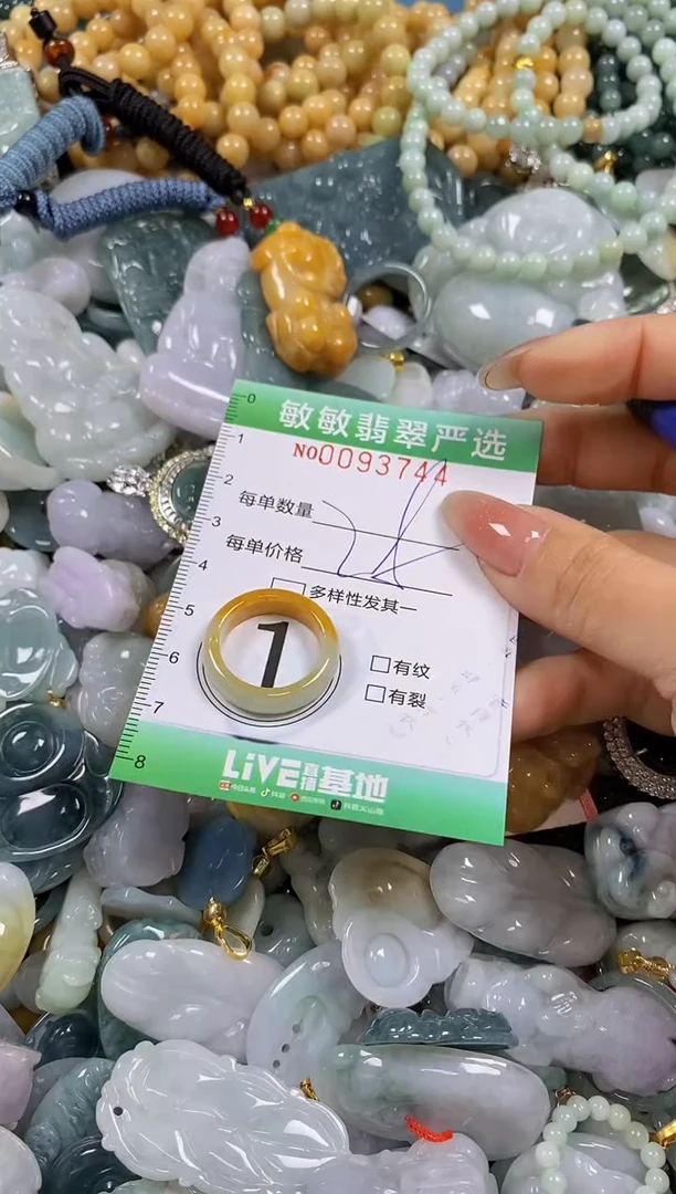 【闪购商品】翡翠颈饰未镶嵌闪购0093744