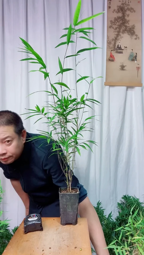 完全开放111111111