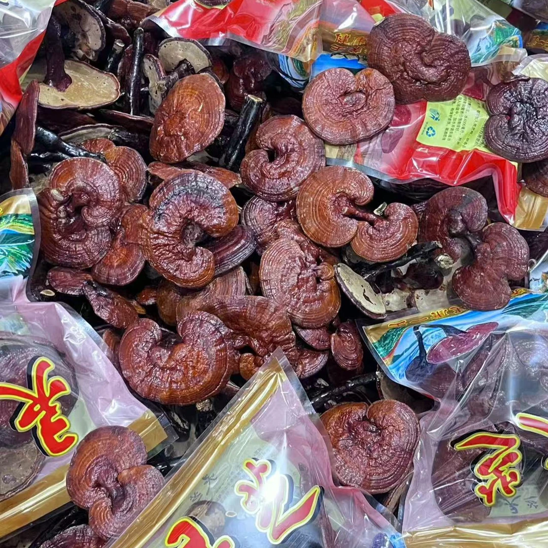 长白山正品赤灵芝野外干货整枝灵芝煲汤炖鸡泡茶泡酒专用东北特产